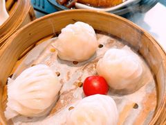 招牌虾饺-虾饺妹·酒家(海珠广场店)