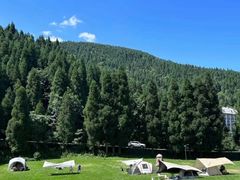 -武陵山森林公园