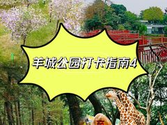 -晓港公园