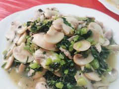 雪菜蘑菇肉片-素勤饮食店(城头巷店)