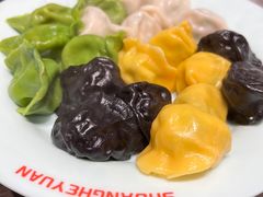 海鲜全家福水饺-双合园·海鲜水饺青岛菜(大尧三路店)