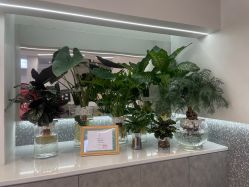 -三只熊皮肤管理中心旗舰店
