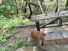 -句容茅山景区