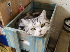 -小时光咖啡馆(开森度假森林店)