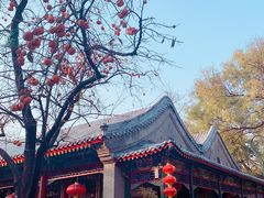 -白家大院·王府宫廷菜(苏州街店)