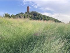 -红花山公园