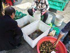 -高淳老街