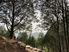 -北京十三陵国家森林公园蟒山景区