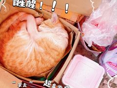 -颓记茶餐厅(美景总店)