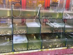 水产区-四海鲜渔家菜(黄金海岸店)