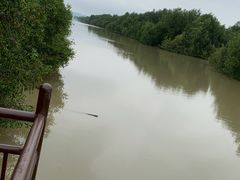 -崖口红树林海鲜餐厅