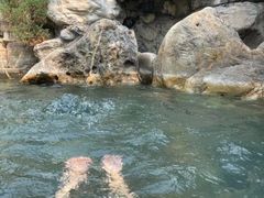 -仁爱团泊湖温泉中心