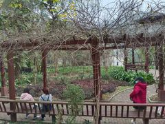 -南宁良凤江国家森林公园