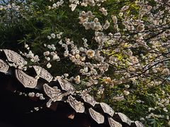 -钱王祠