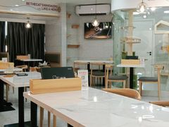 大堂-喵园·猫主题咖啡厅·撸猫·猫咖(国贸店)