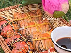 -七的湖·晚芳亭·阳澄湖农家菜·大闸蟹(莲花岛店)