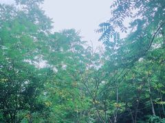 -云岫谷自然风景区