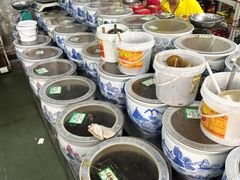 -致美斋(三元里大道店)