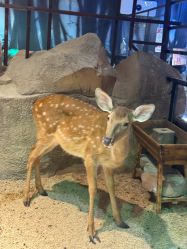 -酷嗒动物文化乐园(cutezoo西溪乐天城店)