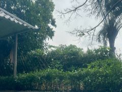 -喜运来大酒店温泉