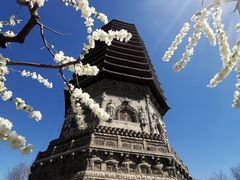 -玲珑塔公园
