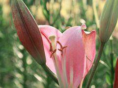 -长春公园(普阳街道)