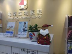 -柏萃动物医院·骨科·牙科