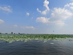 -白洋淀景区