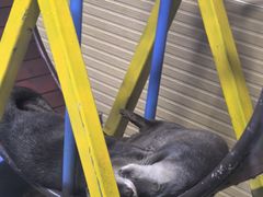 -太平洋海底世界