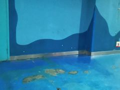 -苏州海洋馆