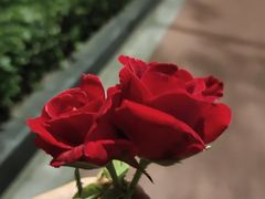 -外婆船宴餐厅·外婆喊你回家吃饭