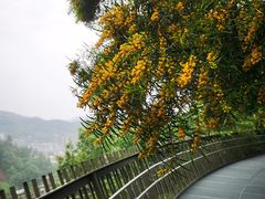 -福道