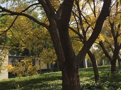-中央戏剧学院(昌平校区)