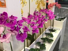 -连城·新天地(福华一路店)
