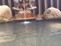 -齐河孔雀王温泉酒店·金孔雀自助百汇