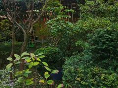 -阳光山水江湖菜馆(西山龙门店)