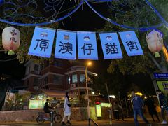 -猫咪博物馆(顶澳仔猫街店)