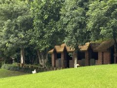 -硅谷蒙学幼儿园