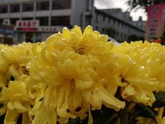 -龙脉温泉室内游泳馆