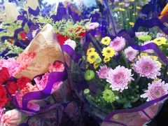 -三圣花乡旅游区