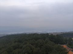 -铁山坪森林公园