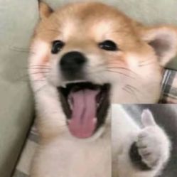 -禾里設計
