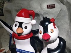 -南昌海洋公园