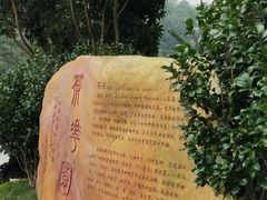 -广州市帽峰山景区