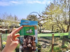 -大连森林动物园