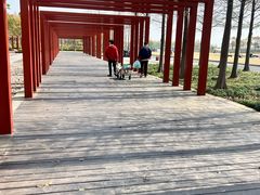 -春花秋色城市公园