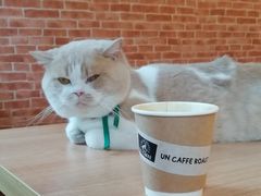 -UN CAFFE(五角场店)