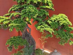 -阿伟海鲜楼·福建菜(延寿店)
