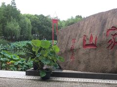 -陈家山荷花公园