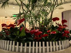 -LANN I 蘭 SPA(陆家嘴中心店)